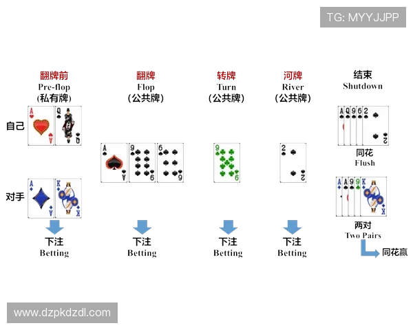 德州扑克官网平台：多样化的游戏模式满足不同玩家需求