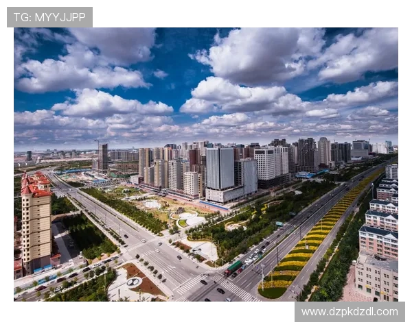 德州大小：从城市规模看德州地区的经济布局与未来发展方向